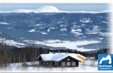 1004 Mountain Cabins in Valdres