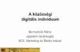 Digitális individuum kutatás 2009