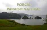 Porcía (Asturias)