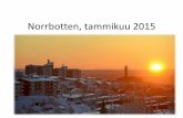 Pohjois ruotsin työmarkkinoiden mahdollisuudet 13.1., kurt lind, ruotsin työhallinto arbetsförmedlingen