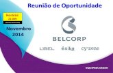 Apresentação Belcorp Novembro 2014 com Incentivos da Campanha