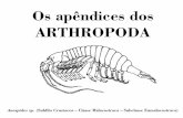 Apêndices dos arthropoda