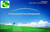 Environmental cost management hansen mowen ch.17