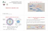 Resposta Imune & Hiv - Imunologia
