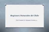 Regiones naturales de chile