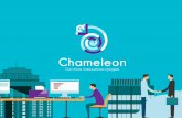 Chameleon - веб-сервис повышения продаж.