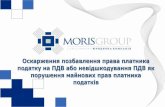 Moris group presentation Volodymyr Rak_kolobki