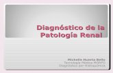 Diagnóstico de la patología renal