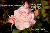 10 朵玫瑰祝福您 2011