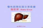 脂肪肝 (Fatty Liver)