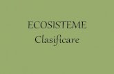 Clasificare ecosisteme naturale