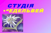Рослини Криму