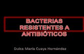 Presentación dhtic resistencia bacteriana