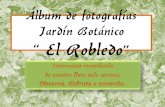 Flora de El Robledo