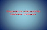 Adénopathie cervicale chronique