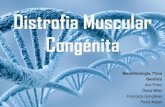 Distrofia muscular congénita