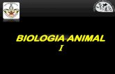 Bio.anim.1(philum alons)