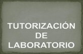 Tutorización de laboratorio
