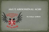 Akut abdominal ağrı(fazlası için )