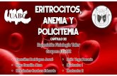 Eritrocito, anemia y policitemia