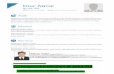 Pmi pmp-resume template-14