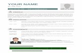 Pmi pmbok-resume template-11