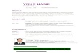 Pmi pmbok-resume template-1
