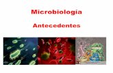 Diapositivas microbiologia