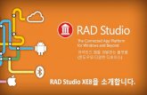 온라인세미나: 처음 만나는 RAD Studio XE8