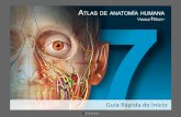 Atlas de anatomía humana para iPad