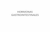 Hormonas gastrointestinales   copia