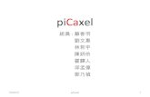 Pi caxel網站企劃