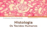 Histologia - Tecidos Humanos