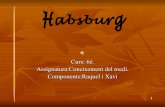 Habsburg 4