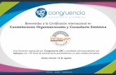 III Certificación en Constelaciones Organizacionales y Consultoría Sistémica. Inicia 14 de agosto 2015