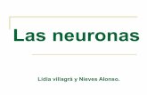 2 Nieves y Lidia-las neuronas