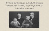 Sylkeä putkeen -DNA-testit, haploryhmät ja isänisän mysteeri