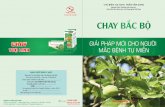 Chay Tuệ Linh - Giải pháp cho người mắc bệnh tự miễn