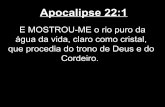 Apocalipse (22)