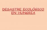 Desastre ecológico en Hungria