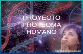 Revisión del Proyecto proteoma humano