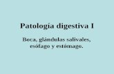 10 tp patología digestiva i