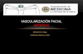 Vascularización facial