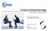Il Libero Professionista Oggi - Antonio Maraglino - FLE2014 - AEGEE Cagliari 15/3/2014