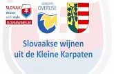 Slovakwines  Verbroederingscomité Overijse 310315