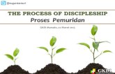 The Process of Discipleship