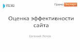 Евгений Летов: «Оценка эффективности сайта»