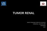 Tumor renal