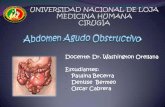 Obstrucción intestinal. (abdomen obstructivo)