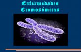 Enfermedades cromosómicas by santiagoash